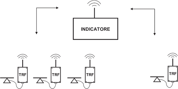Transmitter TRF Montaggio